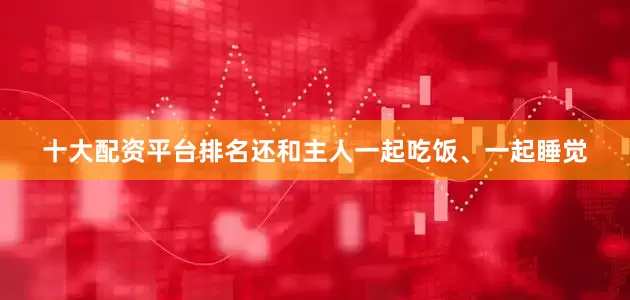 十大配资平台排名还和主人一起吃饭、一起睡觉