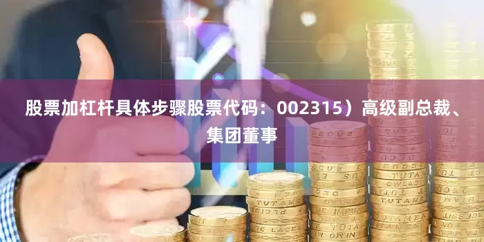 股票加杠杆具体步骤股票代码：002315）高级副总裁、集团董事